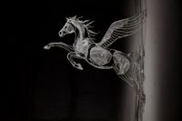 'Pegasus I'