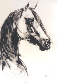 'Arabian Head Study'- Ink &amp; Acrylic