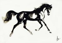 'Namib Desert Horse' - Ink And Acrylic