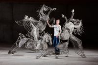 Amy and the 3 Pegasus