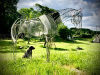 Ben II’ - Welded stainless-steel rod with mesh. 17hh