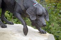 'Treo (63 DM)' Bronze memorial in Congleton Cheshire