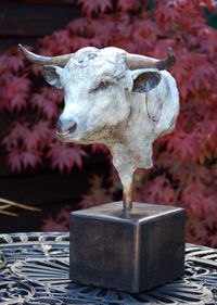 'Eli' The English Park Bull. Bronze