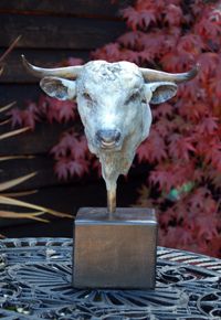 'Eli' The English Park Bull. Bronze