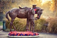 'Romsey War Horse' Memorial at Remembrance, 2018. Photo Natasha Weyers